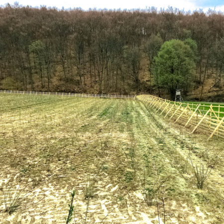 Naturschutz