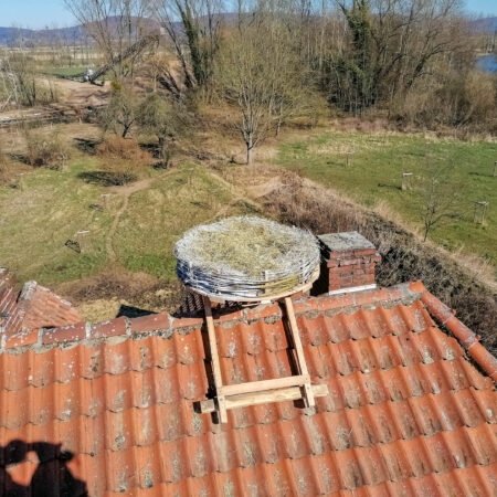 Storchennest auf Artenschutzhaus