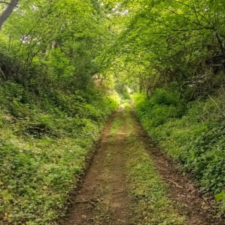 Hohlweg