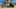 Zeppelin-Cat-RebuildRadlader